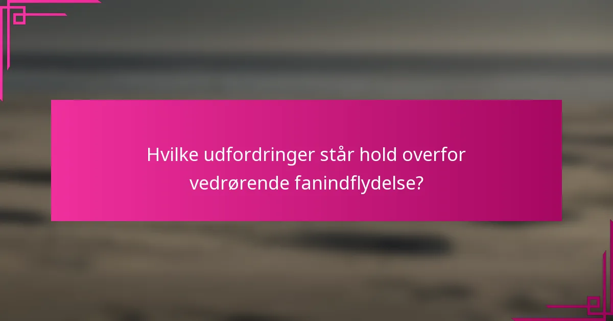 Hvilke udfordringer står hold overfor vedrørende fanindflydelse?